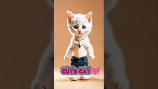 Cute Cat Dance💓🐾🎉shorts cat catvideos catlover [upl. by Rouvin]