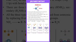 Introduction of Amines primary Secondary and Tertiary amines  JEE  NEET  BITSAT [upl. by Alat680]