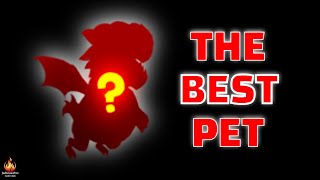 Castle Clash Best Hero Pet [upl. by Issiah]