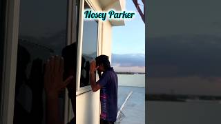 Nosey Parker  daily speaking advanced English idioms zlexchannel3795 [upl. by Philander]