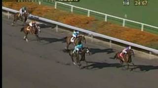 Zenyatta A Perfect 19 For 19 After Victory In Ladys Secret [upl. by Ellehsram]