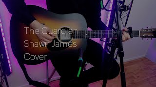 The Guardian Ellies Song  Shawn James Cover [upl. by Ellehcil]