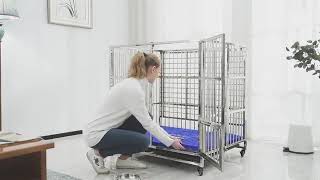 Stainless Steel Dog Cage [upl. by Shrier]