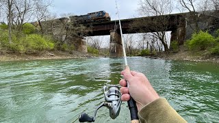 TROUT Fishing with Spinners Brown Brook Rainbow [upl. by Birck123]