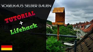 Vogelhaus einfach selber bauen Tutorial  Schritt für Schritt Anleitung und Heimwerker Lifehacks DIY [upl. by Codel]