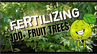 Fertilizing 100 Plants and Fruit Trees  Subtropical Food Forest in Desert [upl. by Eseuqram]