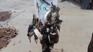 DUCK HUNTING a STORM FRONT in LOUISIANA  Bonus HOG and NUTRIA shots [upl. by Bradman]