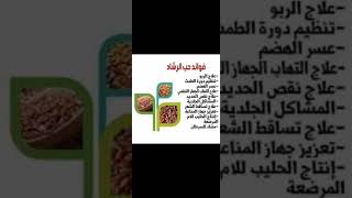 فوائد حب الرشاد Benefits of garden cress [upl. by Conrado]