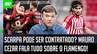 quotPelo que EU APUREI sobre o Scarpa o Flamengoquot Mauro Cezar FALA TUDO [upl. by Nagap145]