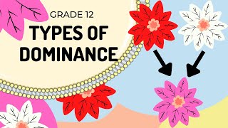 EASY TO UNDERSTAND Types of Dominance GENETICS [upl. by Notyad]