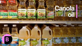 Canola oil isnt just for cooking anymore cooking food shorts [upl. by Olinde]