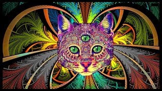 Best RaveParty Songs Mix 2 PSY TRANCE MINIMAL amp HEAVY BASS songs in description [upl. by Ise]