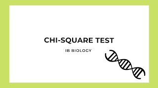 IB Biology ChiSquare Test [upl. by Pesvoh742]