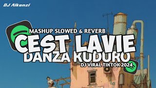 DJ CEST LAVIE X DANZA KUDURO SLOWED REVERB 2024 [upl. by Woehick]