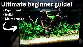 How to Setup and Maintain Freshwater Tank FULL Beginner guide to Healthy Aquarium [upl. by Ylecara]