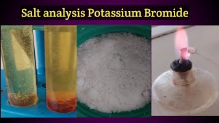 Salt analysis  potassium bromide chemistry class 12 [upl. by Thrift]