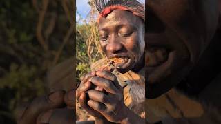 This is how hadzabe survive in forest by eating Raw meat and Roots only ‼️😋😲hadzabetribe food [upl. by Kynthia488]