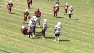 Blackville  Hilda Hawks  7 amp 8 yrs old vsWagnerSalley War Eagles [upl. by Noteek]