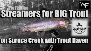 W4F  Fly Fishing quotStreamers for BIG Trout on Spruce Creek with Trout Havenquot Webisode 10 [upl. by Eseryt]