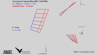 Flappingwing aeroelastic analysis [upl. by Callery78]