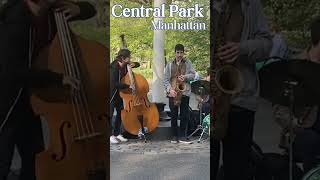 Jazz Trio In Central Park Manhattan [upl. by Steven]