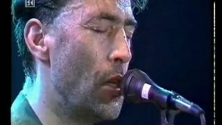 Wieder hoam  Hubert von Goisern live 1994 [upl. by Jinny960]