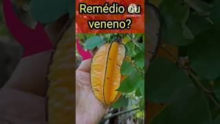 Carambola é PERIGOSO para a saúde Comer Carambola faz mal carambola perigosdacambola [upl. by Ariem]