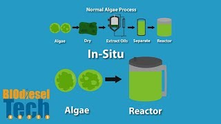 Biodiesel Production Methods [upl. by Anidam]