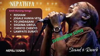 NEPATHYA  EVERGREEN SONG  Popular Song Collection  Amit Gurung  Slowed amp Reverb  Nepali Sound [upl. by Eglanteen]