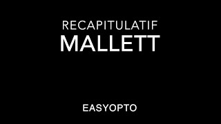 Analyse de la vision  Récapitulatif  MALLETT [upl. by Wilkison]