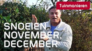 Wat kan je snoeien in november en december  Snoeien  Tuinmanieren [upl. by Odragde]