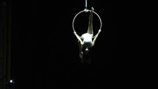 Izabela Kowalska Aerial Hoop  PI Acrobats [upl. by Surat]