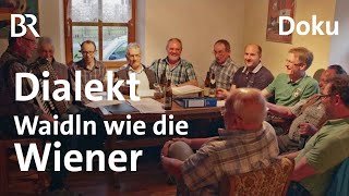 BairischWienerisch Hä und Glä  Der Dialekt von Rattenberg  Spessart und Karwendel  BR  Doku [upl. by Yatnoj]