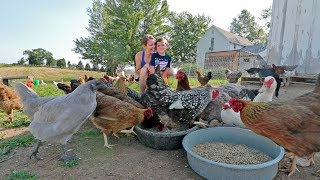 What it’s like to live with 85 chickens [upl. by Meurer288]