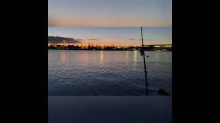 Tauranga Otumoetai Land based SurfCasting [upl. by Oeht]