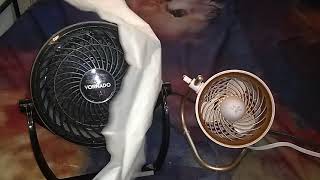 2 NEW FANS Vornado Expand4 and Vornado Pivot [upl. by Hada]