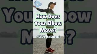 How Does Your Elbow Move HERES the Science [upl. by Yrevi]