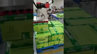 Packaging Case in Persional Care Cobot Palletizer collaborative robot palletizing workstation [upl. by Humble]