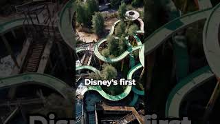 The Surreal Secrets of Abandoned Disney Parks [upl. by Acirre141]