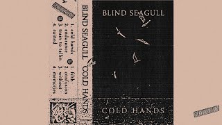 Blind seagull  Cold hands [upl. by Waite]