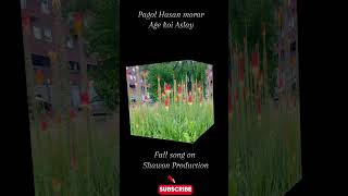 Pagol Hasan morar agy koi aslayviral foryou shortsfeed banglasongviralvideoyoutubeshortsviral [upl. by Trebmal]