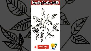 Leaf DrawingEasy Drawing of LeafDrawing LeafSIMPLE AND EASY DRAWING Leaf [upl. by Meador]