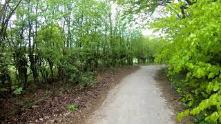 Storthes Hall Woods 4K walk 4 May 18 5a [upl. by Jacquetta]