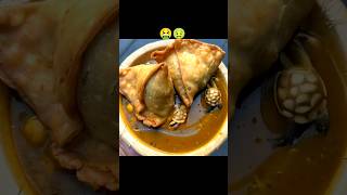 Tortoise samosa 🐢🤮funny ai shortsviral food viral [upl. by Norbert4]