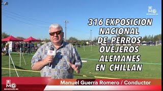 316 Exposición Nacional de perros Ovejeros Alemanes en Chillán [upl. by Durer]