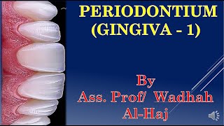 2 Periodontium 1 Gingiva 1  Dr Wadhah Periodontology lectures د وضاح الحاج [upl. by Noryk]