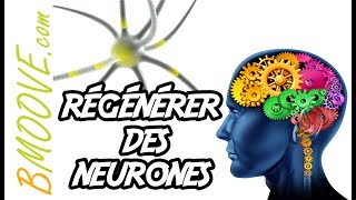 Comment aider son cerveau à générer de NOUVEAUX NEURONES [upl. by Nywloc]