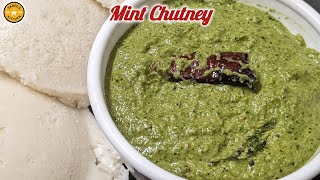 Mint Chutney Recipe  Pudina Chutney  Side Dish Recipes  Sabees Kitchen [upl. by Dinesh761]