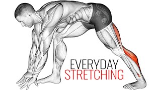 Stretching Exercises for Beginners At Home [upl. by Laira]