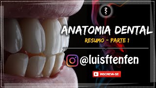 Anatomia Dental RESUMO Parte 1 [upl. by Aric]